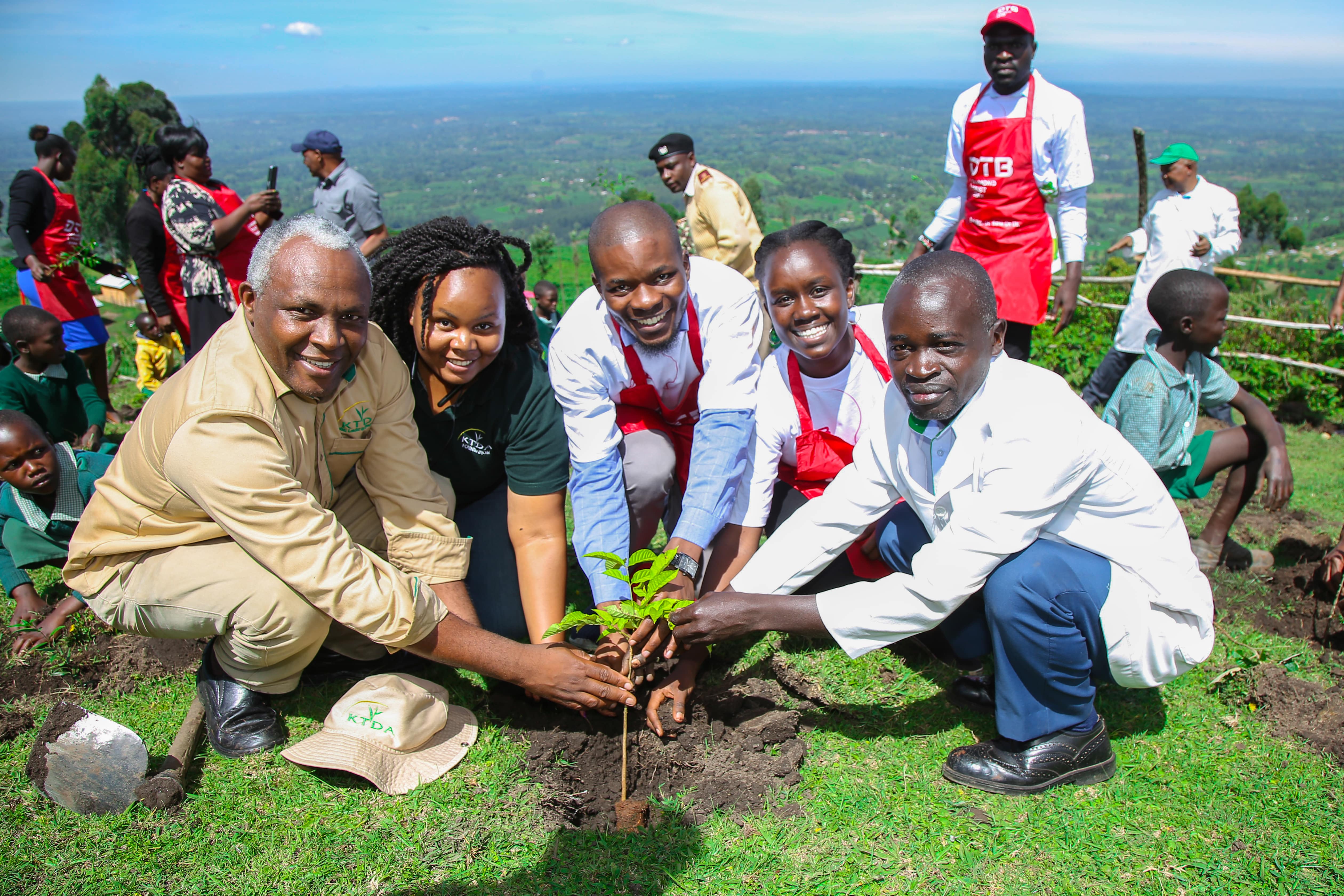 DTB Partners with KTDA Foundation to Plant 10,000 Trees in a Bid to Conserve the Environment